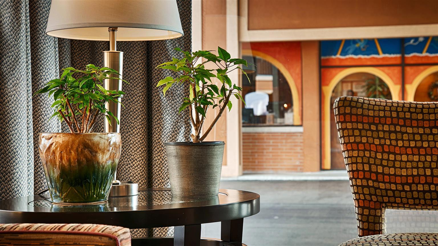 Best Western Thunderbird Motel Куквилл Экстерьер фото